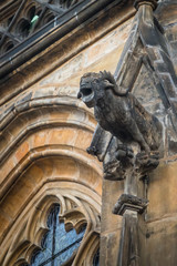 One of gargoyles of St. Vitus cathedral in Prague