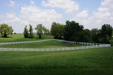 Horse Farm in Kentucky