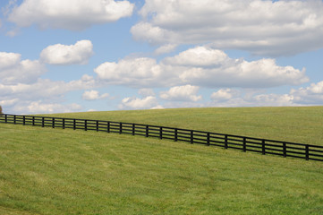 Landscape in rural setting