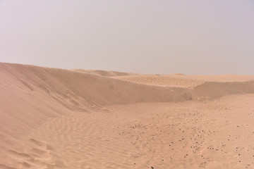Fototapeta na wymiar Sahara Desert in Tunis, Tunissia