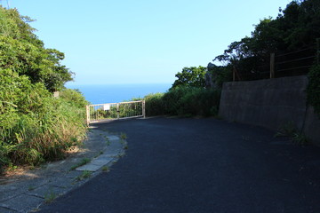 池島　道路