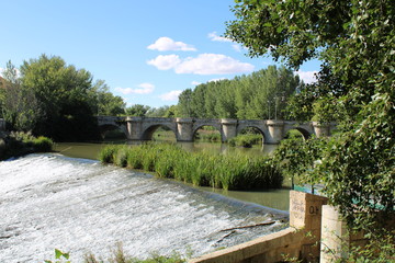 Fototapeta premium rivera del Río Carrión a su paso por Palencia