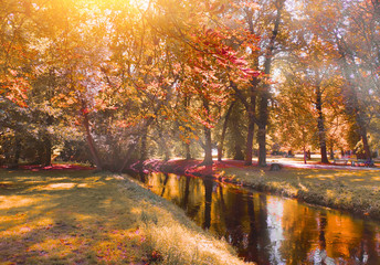 Autumn landscape with trees reflected in a water stream on a sunny day
