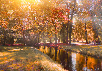 Fototapeta na wymiar Autumn landscape with trees reflected in a water stream on a sunny day