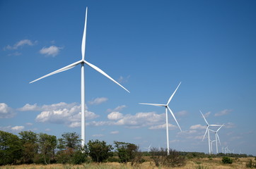 Wind farms located along fields to the horizon