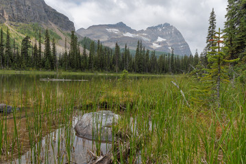Lake O'Hara in Yoho National Park