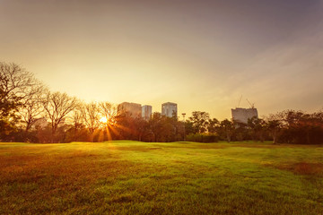Fototapeta premium Beautiful park scene in public park with green grass field, filled color filter.