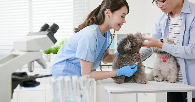 veterinarian doctor and pet dog