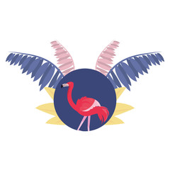 flamingo bird summer time vacations