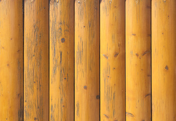 Background texture of old beige painted wooden lining boards wall