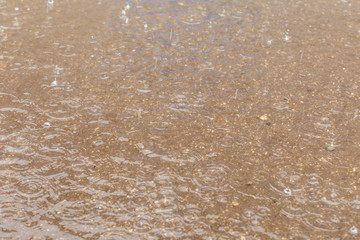 Fototapeta na wymiar puddle with raindrops,removed during the summer rain in the afternoon