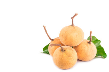 bunch of sweet santol fruits and santol leaf on white background planting agriculture food isolated