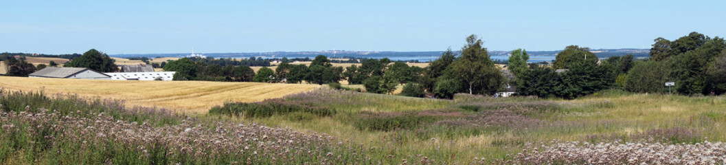 Pasture and field