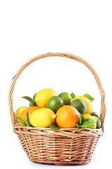 Citrus fruits in basket isolated on white background
