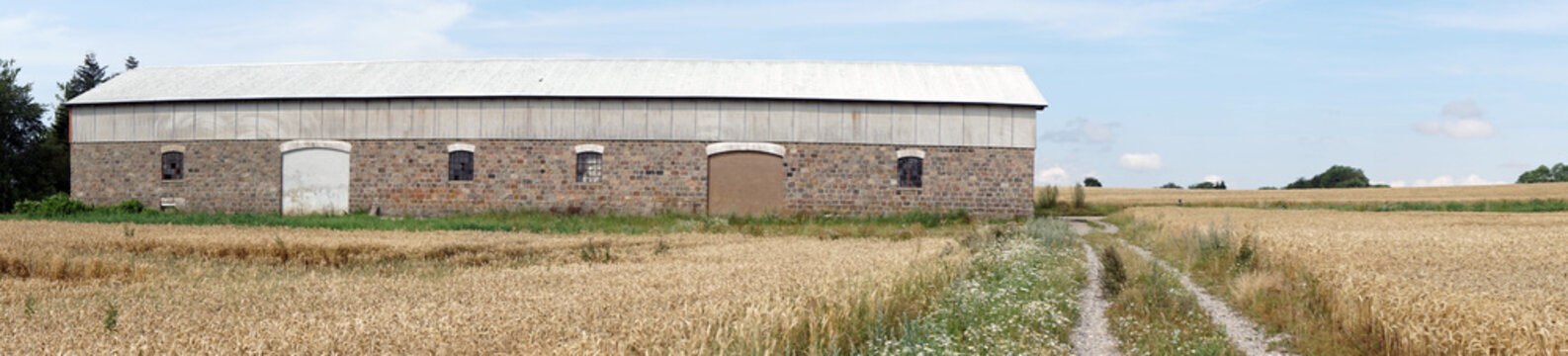 Barn and field