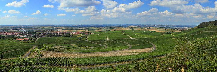 Naklejka premium Landschaft bei Iphofen