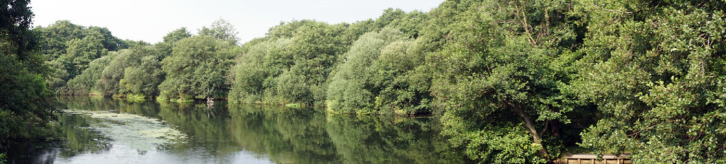 Fototapeta na wymiar Panorama of river