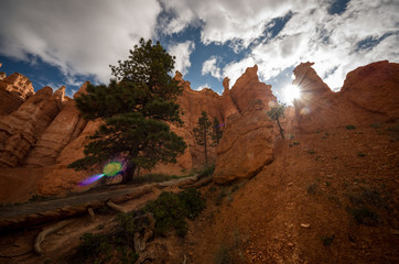 bryce canyon