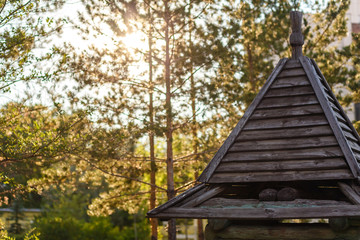Fototapeta na wymiar the triangular roof of a small wooden house in the summer in the sunset light