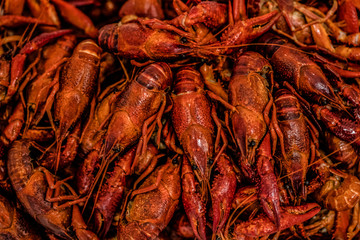Boiled crawfish, Cancers to beer, dill, beer snacks,Beer with crayfish,Fish crabs beer