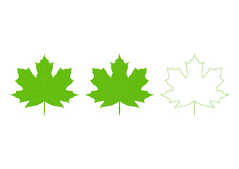 Fototapeta premium A collection of vector Canadian maple leaf icons. Silhouette of autumn leaves icon set isolated on white background