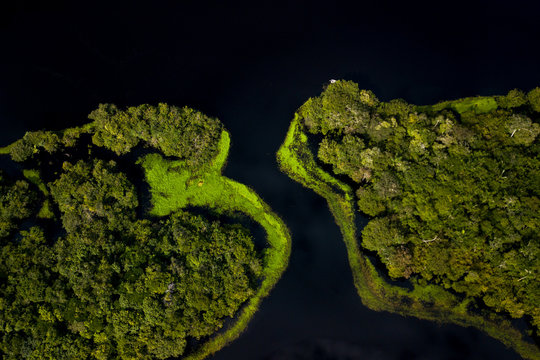 Trombeta's River - Amaz&ocirc;nia, Brazil