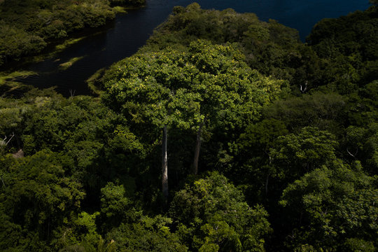 Trombeta's River - Amaz&ocirc;nia, Brazil