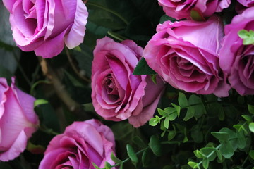 bouquet of pink roses 2