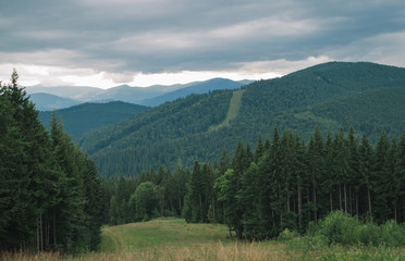 Beautiful landscape of mountains and coniferous forest in cloudy weather, mountain trail. Carpathians, Ukraine. Background