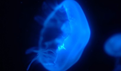 abstract blue background