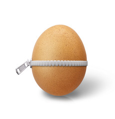 egg with zipper on white background with clipping path, Unzip Easter egg to found surprise thing. 