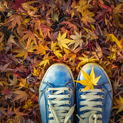 Autumn season in hipster style shoes