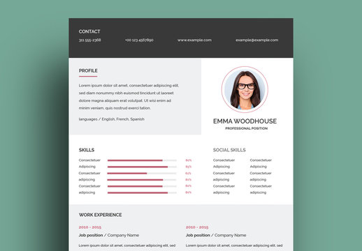Resume Layout with Five Parts