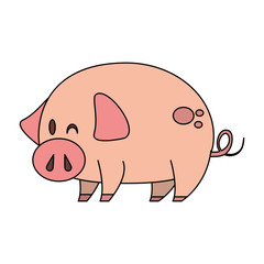 cute animal pig farm cartoon