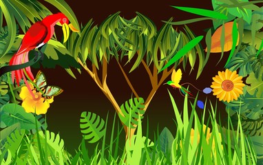 vector jungle theme illustration with birds, exotic plants.Red Bird sits on the tree, colibri. Tropical floral frame with blue sky. Design template