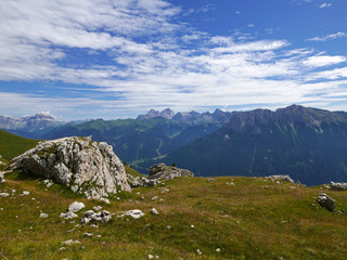 meravigliosa vista delle suggestive cime dolomitiche in estate, tra verde e rocce