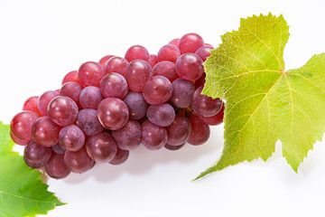 ぶどう　デラウエア