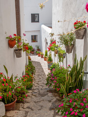 Fototapeta na wymiar street front of white washed houses with multicolored flowerpots in a pueblo blanco in Andalusia