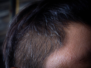 Obraz premium Short hair and grey hai