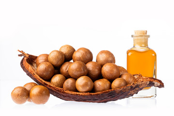 Macadamia integrifolia - Nuts and macadamia oil
