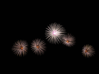 Fototapeta premium firework in dark sky