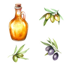 Set with green and black olives and bottle of olive oil. Hand draw watercolor illustration.