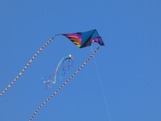 Beautiful Kites in a Summer Sky