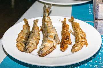 fish.