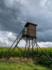 mirador sous les nuages