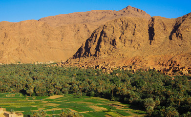 Panoramic view over palm grove oasis on isolated clay house village, rugged steep limestone mountain face background against blue sky - Tinghir (Tinerhir) in Todra valley, Morocco
