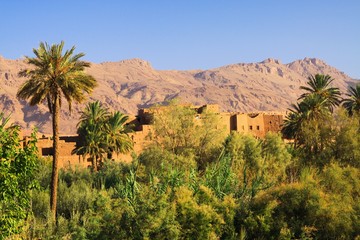Panoramic view over palm grove oasis on isolated clay house berber village, rugged steep limestone mountain face background against blue sky - Tinghir (Tinerhir) in Todra valley, Morocco