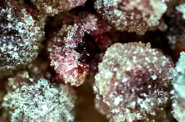 Fototapeta premium Candied berries