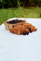 ripe cherries in a basket with croissants on a table in the spring garden