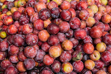 Plums Fruit stock photo top view, Challenging Fruit, Red color Fruit, DAMSON